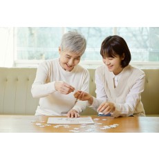 실버인지지도사