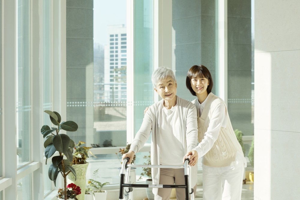 노인돌봄지도사